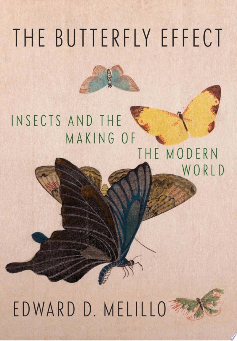 Image for "The Butterfly Effect"