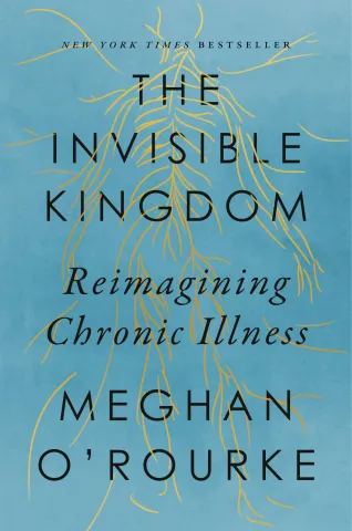 Invisible Kingdom book cover