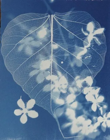 A cyanotype print of a leaf and flowers.