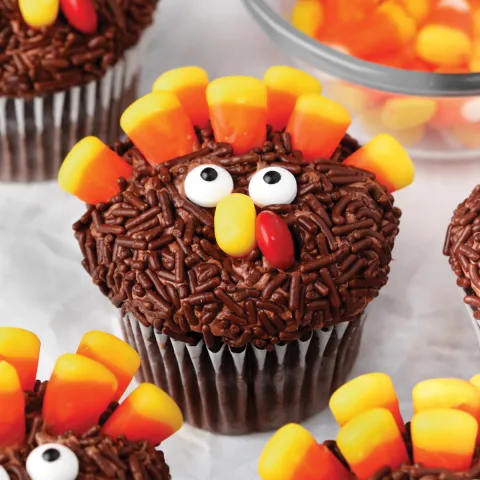 Cupcake decorated like a turkey