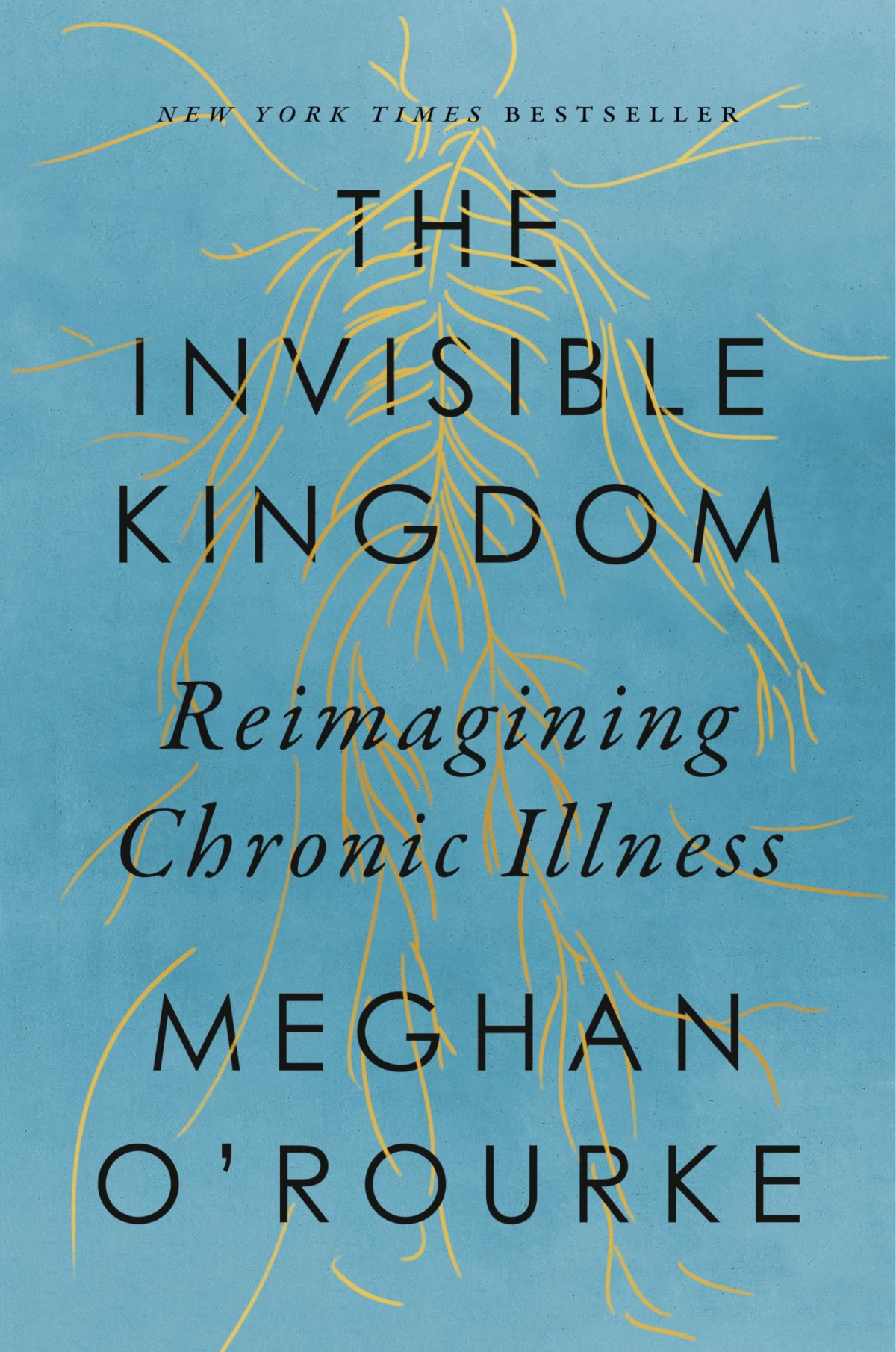 Invisible Kingdom book cover